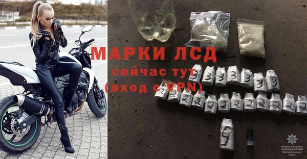 ГАЛЛЮЦИНОГЕННЫЕ ГРИБЫ Белокуриха