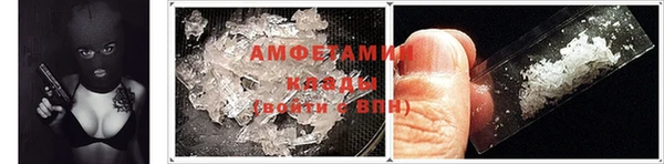 ГАЛЛЮЦИНОГЕННЫЕ ГРИБЫ Белокуриха