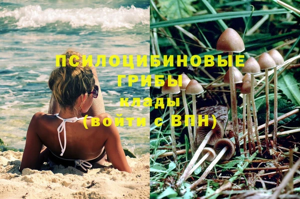 марки lsd Белоозёрский